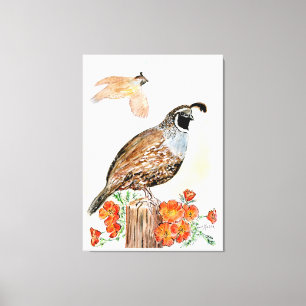 California Canvas Print