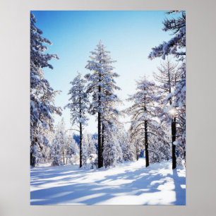 California, Cleveland National Forest, Laguna 2 Poster