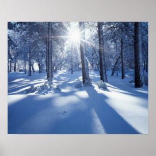 California, Cleveland National Forest, Laguna 3 Poster