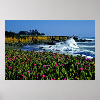 California Coast Flowers Poster