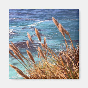 California Coastal Magnet