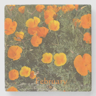 CALIFORNIA COASTER: FEBRUARY STONE COASTER