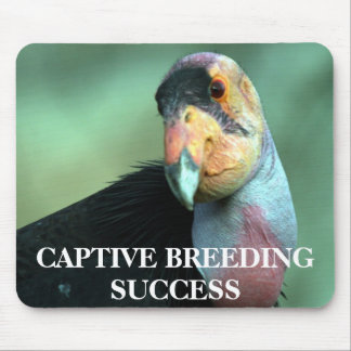 California Condor Mousepad
