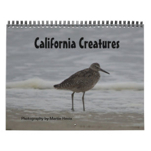 California Creatures Calendar (Sept-Aug)
