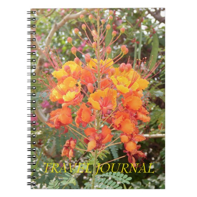 CALIFORNIA DESERT FLOWER #1 TRAVEL JOURNAL (Front)
