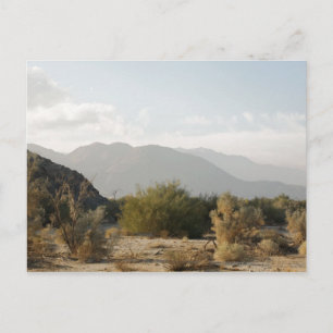California Desert Postcard