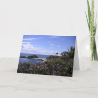 California Dreamin' - Laguna Beach Greeting Cards