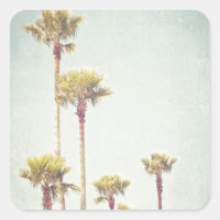 California Dreaming Retro Palm Tree Photography