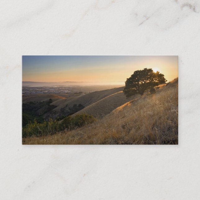 California East Bay Hills in Summer business card (Front)