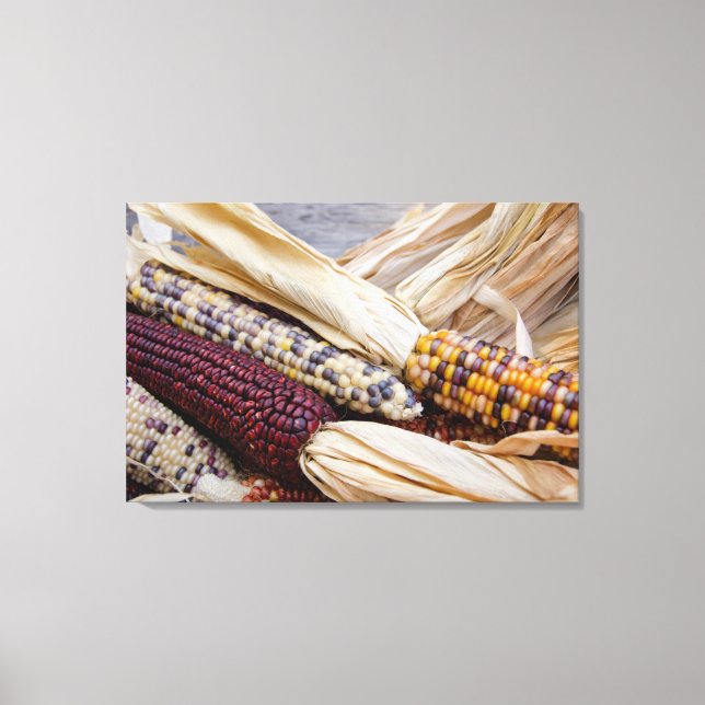 California. Fall Harvest Colourful Indian Corn Canvas Print (Front)