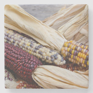 California. Fall Harvest Colourful Indian Corn Stone Coaster