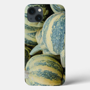 California. Fall Harvest In California iPhone 13 Case