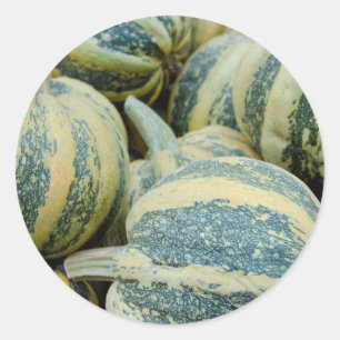 California. Fall Harvest In California Classic Round Sticker