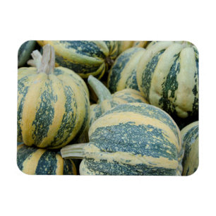 California. Fall Harvest In California Magnet