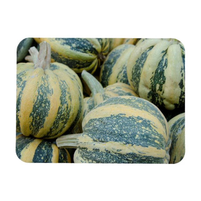 California. Fall Harvest In California Magnet (Horizontal)