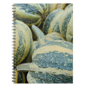 California. Fall Harvest In California Notebook