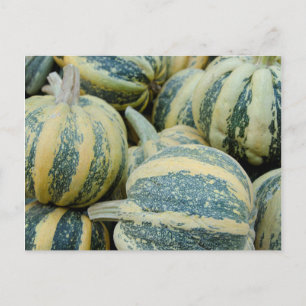 California. Fall Harvest In California Postcard