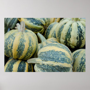 California. Fall Harvest In California Poster