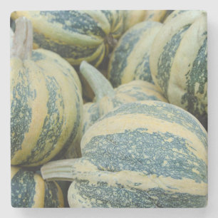 California. Fall Harvest In California Stone Coaster
