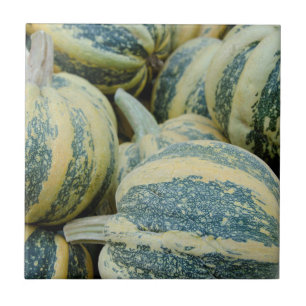 California. Fall Harvest In California Tile