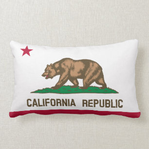California flag, American state flag Throw Pillow