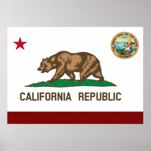 California flag poster