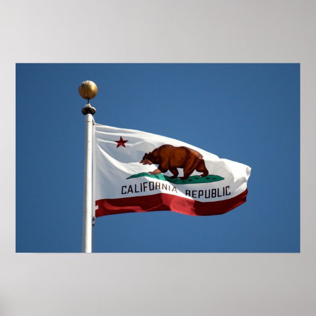 California flag poster (Front)