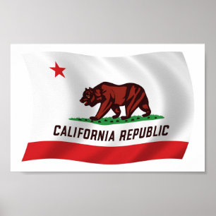 California Flag Poster Print
