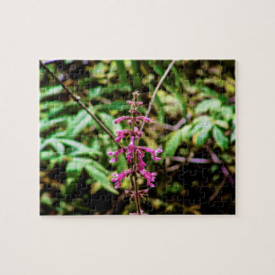 California Forest Flower   Beardtongue Jigsaw Puzzle