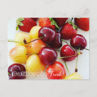 California Fresh Fruits Postcard