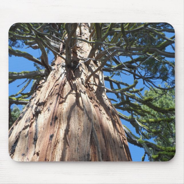California Giant Mouse Pad (Front)