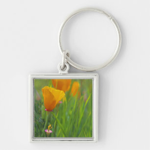 California golden poppies in a green field keychain