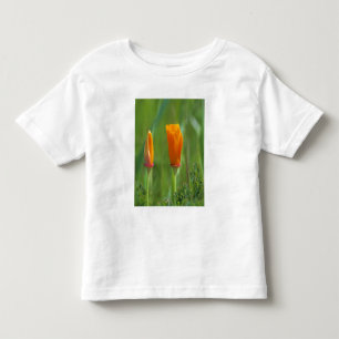 California golden poppies in a green field toddler t-shirt