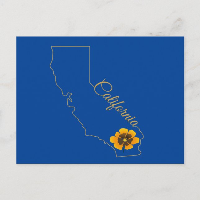 California Golden State Poppy Floral Postcard (Front)