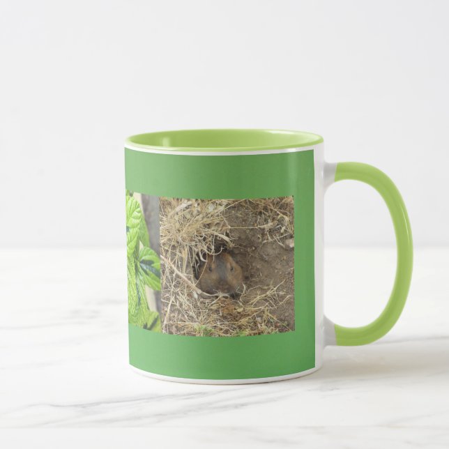 California Gopher Mug (Right)