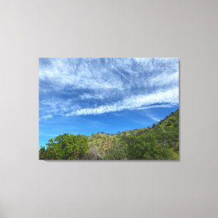 California Green Canvas Print