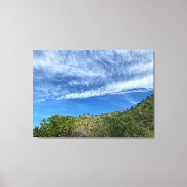 California Green Canvas Print (Front)