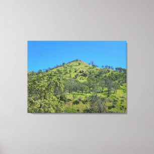 California Green Canvas Print