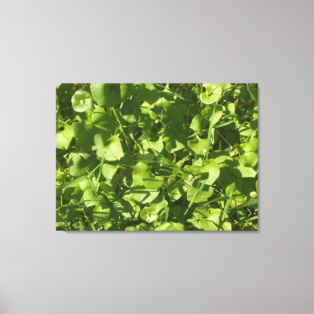 California Greens Canvas Print (Front)