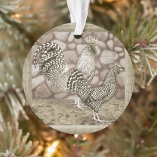 California Grey Chickens Ornament