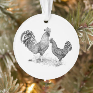 California Grey Rooster and Hen