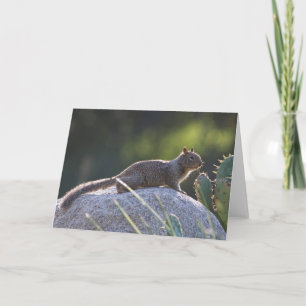 California Ground Squirrel Card