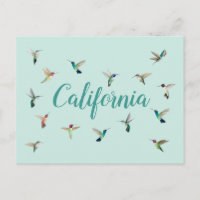 California Hummingbirds