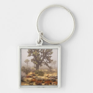 California: Joshua Tree National Monument, Keychain