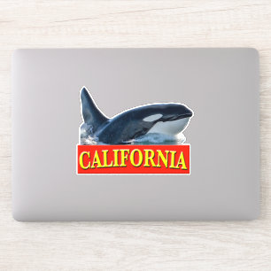 California Killer Whale Sticker