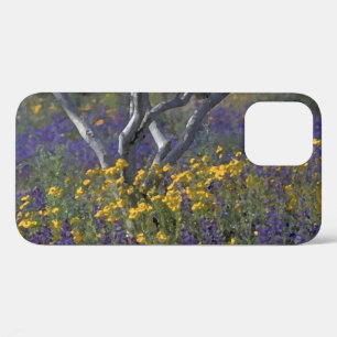 California Lupine & Poppies Watercolor iPhone 12 Case