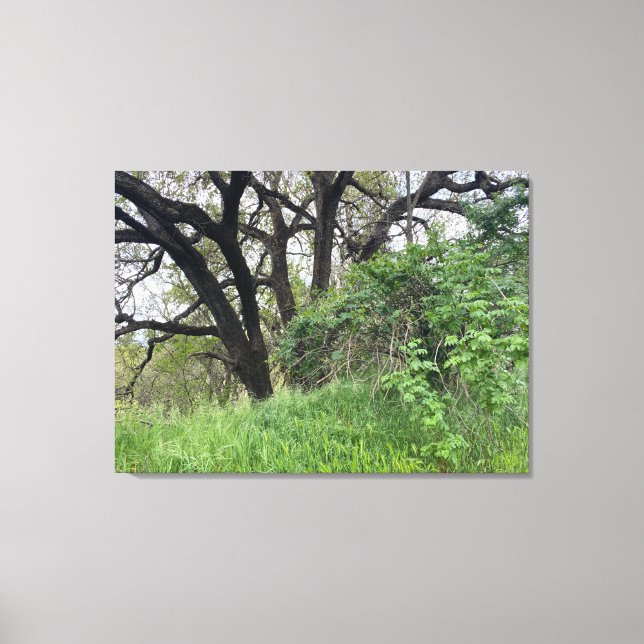 California March Canvas Print (Front)