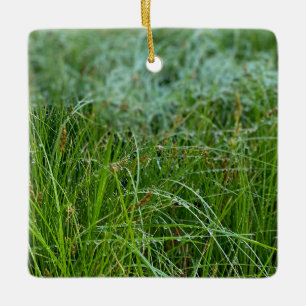 California Meadow Sedge Ceramic Ornament