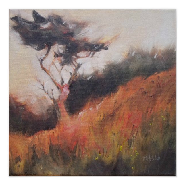 California Monterey Cypress Lone Tree Poster (Front)