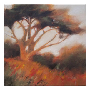 California Monterey Cypress Trees Poster